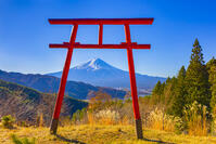 富士山遥拝所から富士山 [YKA110023451]