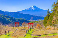 富士山遥拝所から富士山 [YKA110023452]