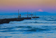 朝の岡本桟橋と富士山 [YKA110023463]