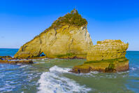 雀島 [YKA110023477]