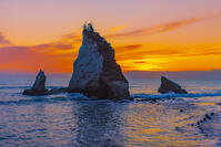 朝の雀島 [YKA110023486]