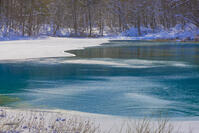 雪の五色沼のるり沼 [YKA110023515]