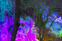 あしがくぼの氷柱　ライトアップ [YKA110023516]