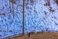 あしがくぼの氷柱 [YKA110023521]