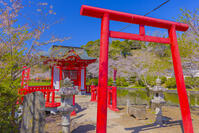 桜咲く茂原公園の茂原弁財天 [YKA110023549]