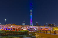夜の桜橋から東京スカイツリー [YKA110023562]