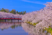 桜咲く弘前城西濠と春陽橋 [YKA110023659]