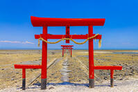 大魚神社の海中鳥居 [YKA110023830]