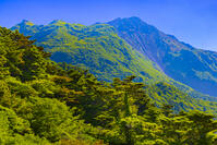 仁田峠から平成新山 [YKA110023840]