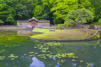 小石川後楽園の唐門 [YKA110023903]