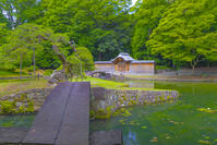 小石川後楽園の唐門 [YKA110023904]