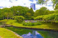 小石川後楽園 [YKA110023910]