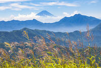 大盛山から富士山 [YKA110024093]