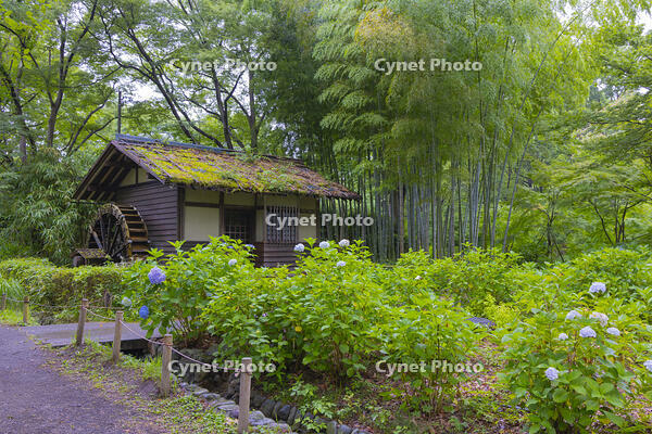府中市郷土の森博物館の水車小屋 [YKA110022991]