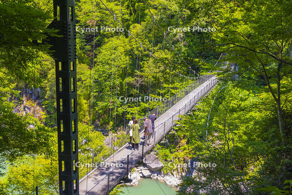 天竜峡つつじ橋 [YKA110023108]