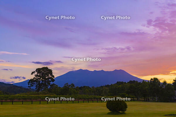 木曽馬の里から御嶽山夕景 [YKA110023113]