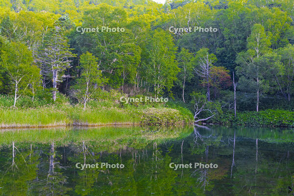 万座温泉・牛池 [YKA110023135]