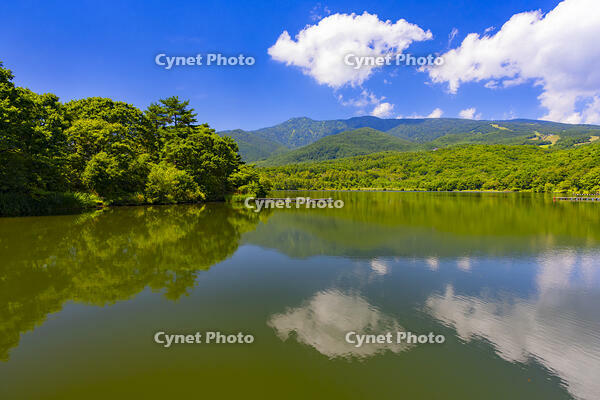 バラギ湖 [YKA110023152]