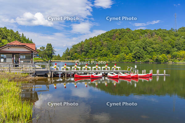 聖湖 [YKA110023158]