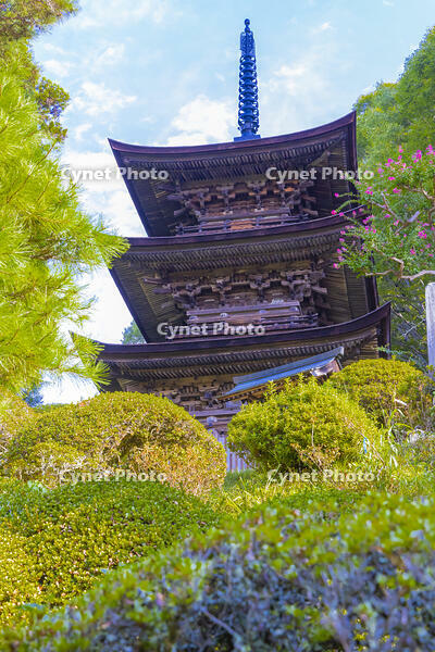 大法寺の三重塔 [YKA110023160]