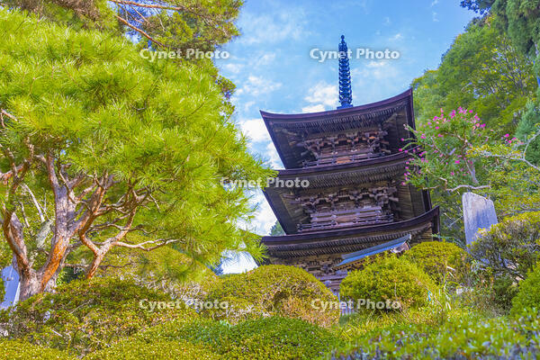 大法寺の三重塔 [YKA110023161]