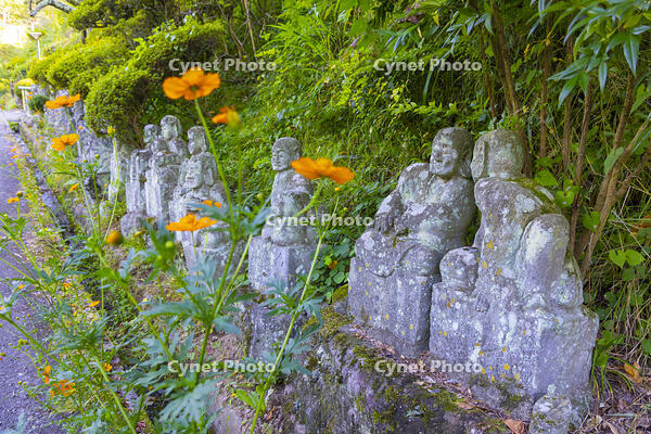 大法寺の羅漢石像 [YKA110023162]