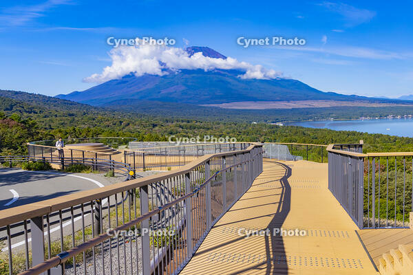 パノラマ台から山中湖と富士山 [YKA110023198]