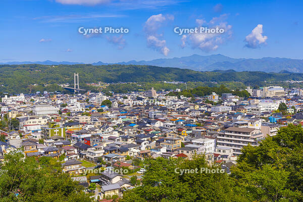 羊山公園から秩父市 [YKA110023211]