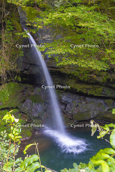 竜門の滝 [YKA110023225]