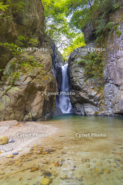 一之釜の男滝 [YKA110023226]