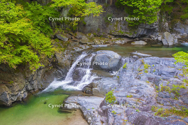 一之釜の女滝 [YKA110023228]