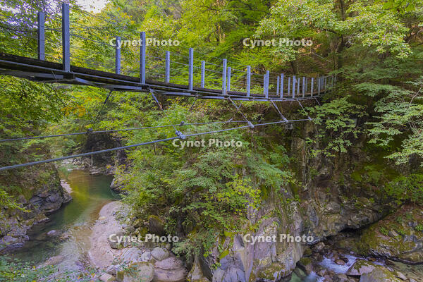 一之釜の吊り橋 [YKA110023229]