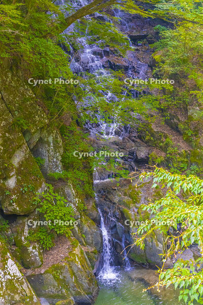 釜沢の滝 [YKA110023230]