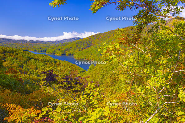 磐梯吾妻レークラインの三湖パラダイス [YKA110023234]