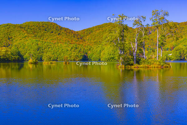 曽原湖 [YKA110023236]