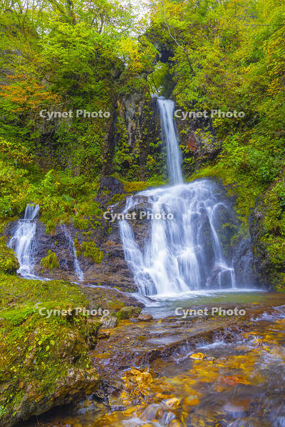 くぐり滝 [YKA110023238]