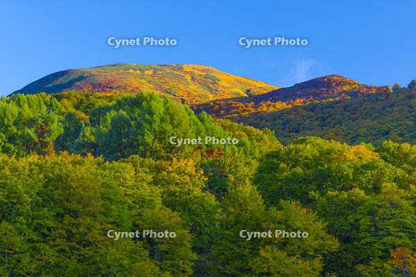 地蔵沼から姥ヶ岳 [YKA110023240]