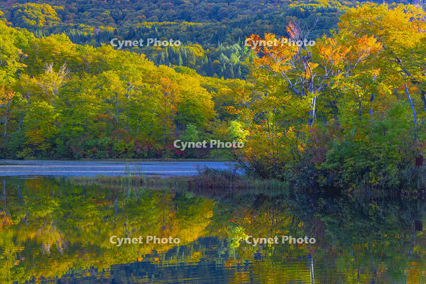 地蔵沼 [YKA110023241]