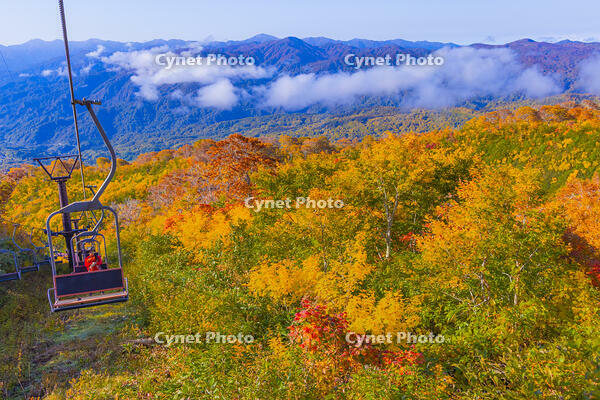 月山ペアリフト [YKA110023244]