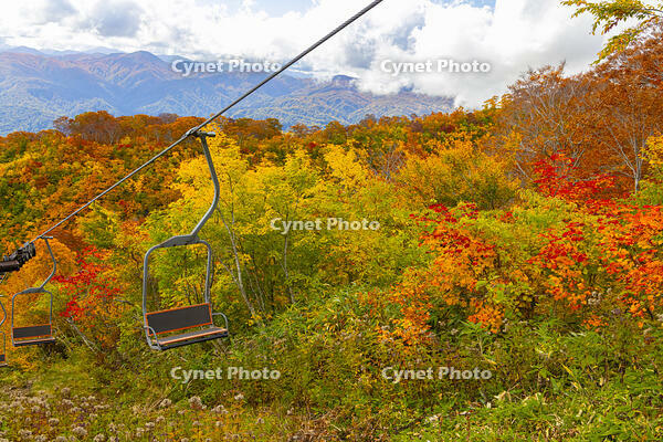 月山ペアリフト [YKA110023245]