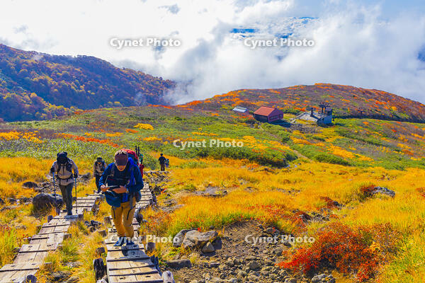 姥ヶ岳の登山道と月山ペアリフト上駅 [YKA110023248]