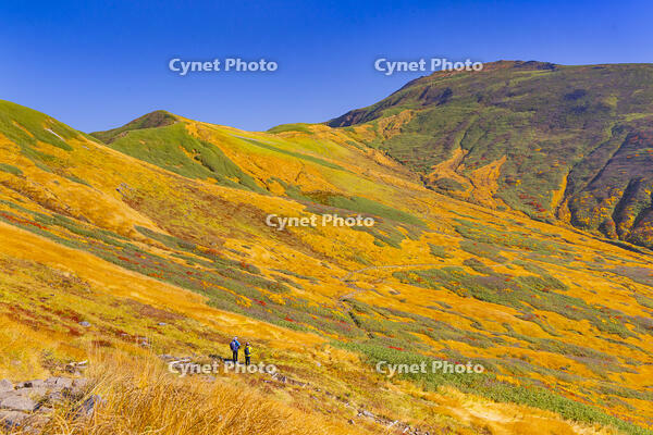 姥ヶ岳の登山道から月山 [YKA110023249]