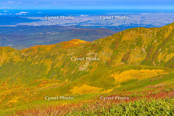 姥ヶ岳山頂から日本海 [YKA110023251]