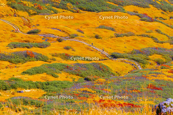 月山牛首カール [YKA110023253]