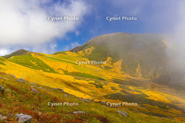 姥ヶ岳から月山 [YKA110023256]