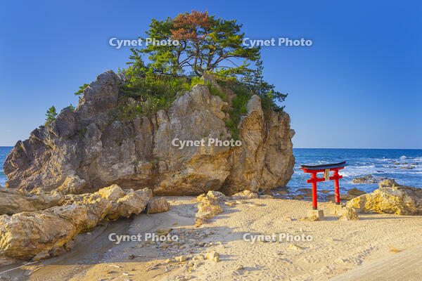 由良海岸の白岩大神 [YKA110023260]