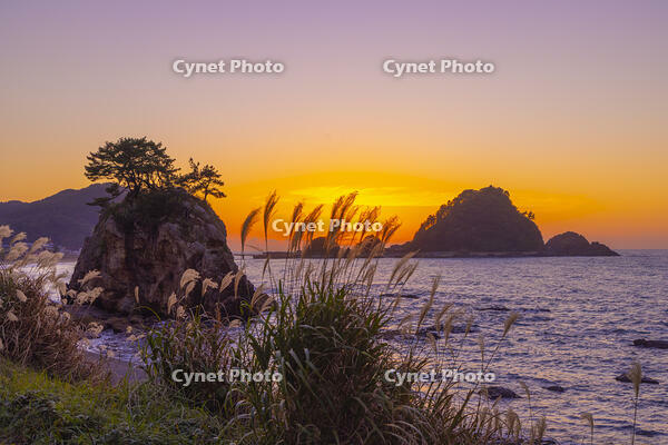 由良海岸の白岩大神と白山島夕景 [YKA110023265]