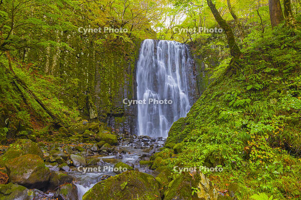 亀田不動滝 [YKA110023266]