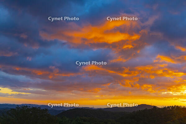 青根温泉から朝焼け [YKA110023270]
