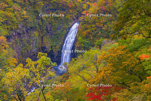 蔵王の不動滝 [YKA110023272]